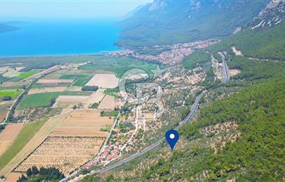 Muğla Ula Akyaka’da 6.315 m² Satılık Tarla