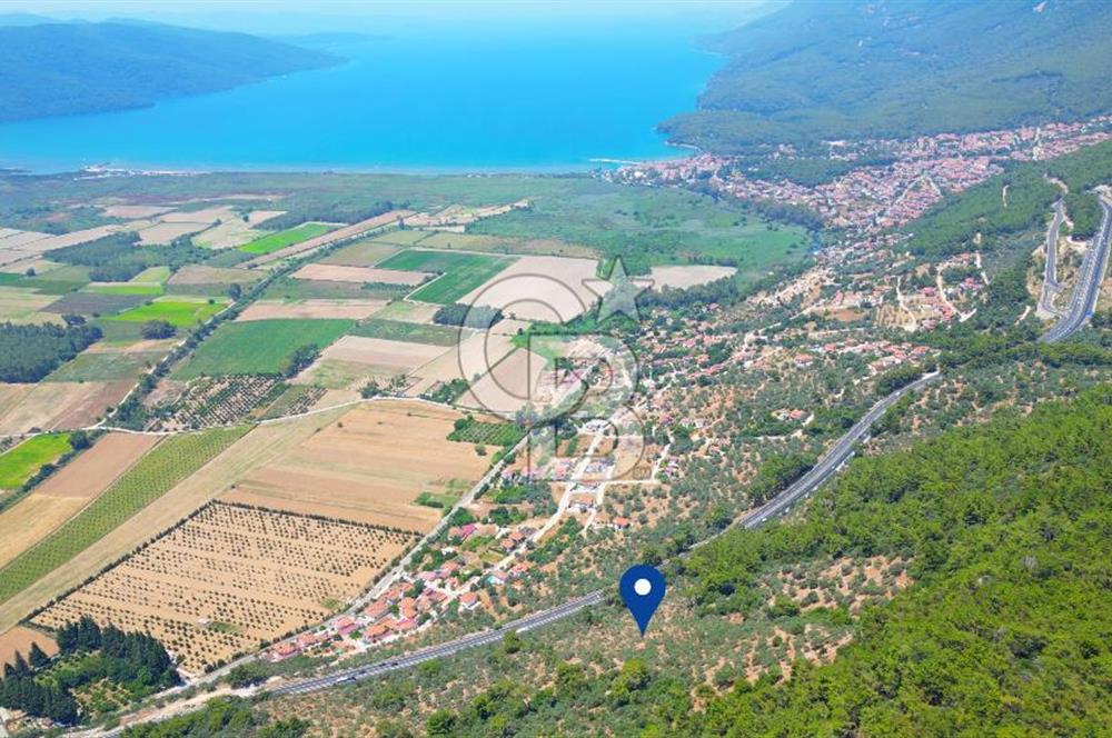 Muğla Ula Akyaka’da 6.315 m² Satılık Tarla