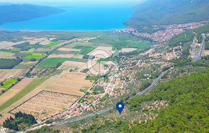 Muğla Ula Akyaka’da 6.315 m² Satılık Tarla