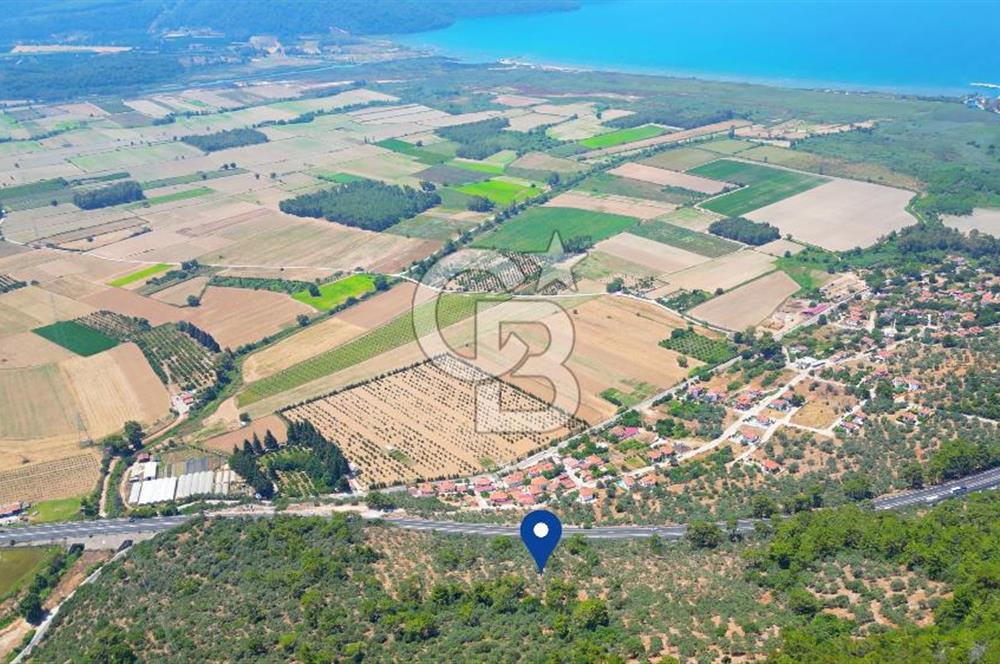Muğla Ula Akyaka’da 6.315 m² Satılık Tarla