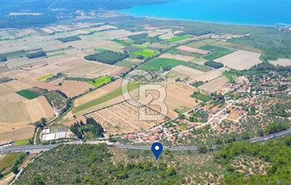 Muğla Ula Akyaka’da 6.315 m² Satılık Tarla