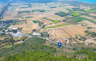 Muğla Ula Akyaka’da 6.315 m² Satılık Tarla