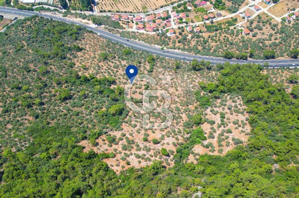 Muğla Ula Akyaka’da 6.315 m² Satılık Tarla
