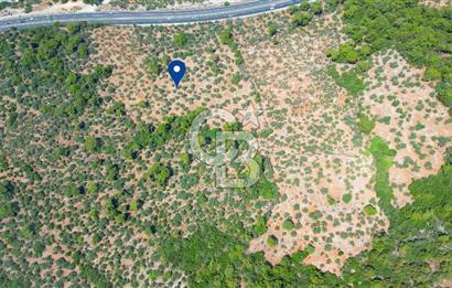 Muğla Ula Akyaka’da 6.315 m² Satılık Tarla