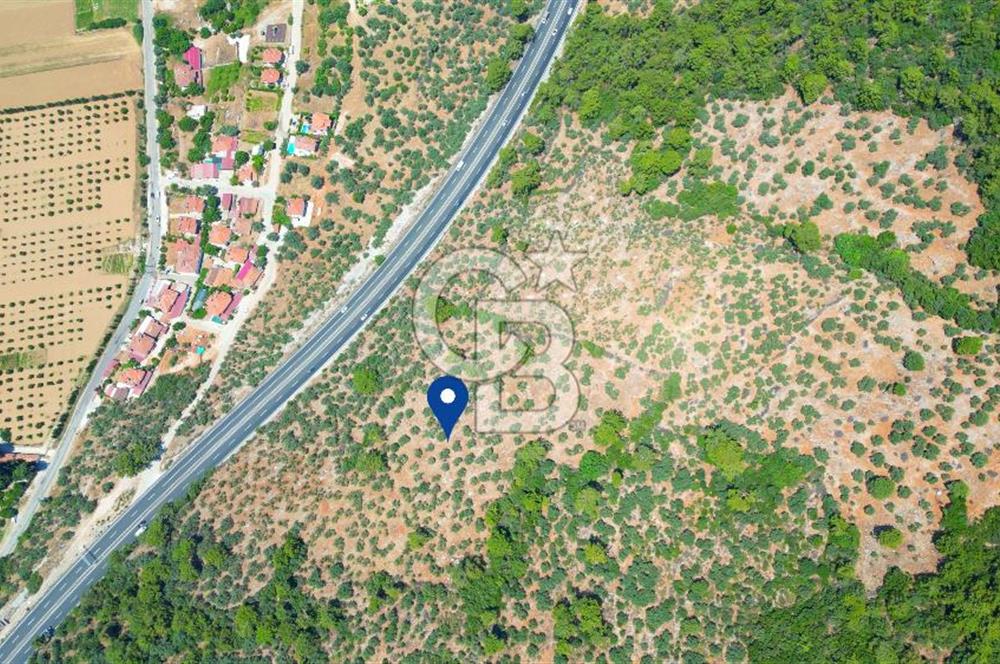 Muğla Ula Akyaka’da 6.315 m² Satılık Tarla