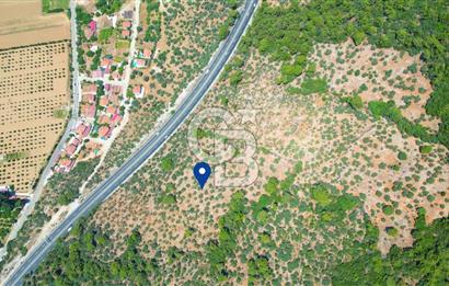 Muğla Ula Akyaka’da 6.315 m² Satılık Tarla