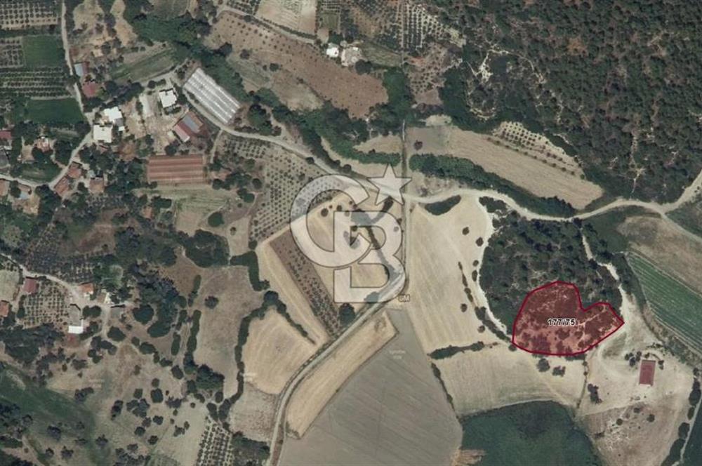 Seydikemer Çaykenarı’nda Satılık 634,97 m2 Yatırımlık Tarla