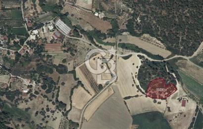 Seydikemer Çaykenarı’nda Satılık 634,97 m2 Yatırımlık Tarla