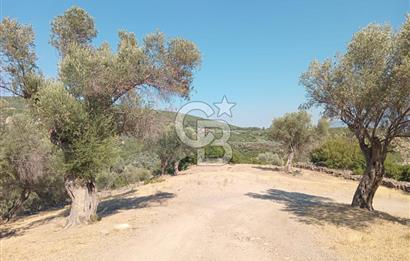 BORNOVA EĞRİDEREDE SATILIK ARSA 