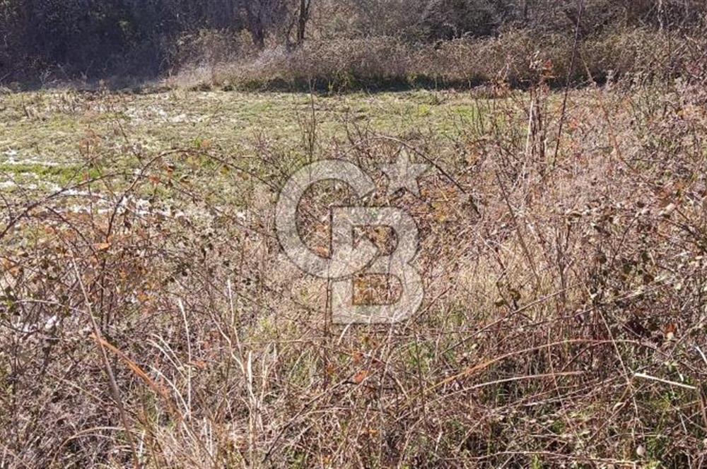 Muğla Günlüce mahallesinde satılık imarlı tarla
