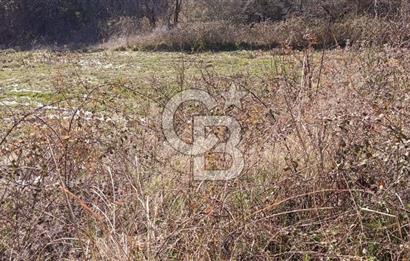 Muğla Günlüce mahallesinde satılık imarlı tarla