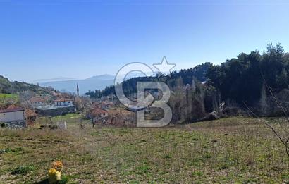 Muğla Günlüce mahallesinde satılık imarlı tarla