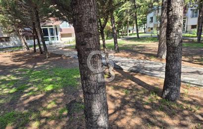 BETONTAŞ BLOKLARI KİRALIK, ARA KAT, BAĞIMSIZ MUTFAKLI, 2+1 DAİRE