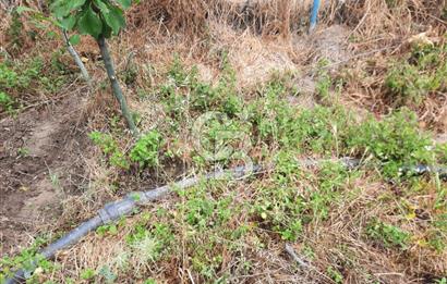 TOKAT BÜYÜKYILDIZ KANAL ALTI TEK TAPU BAHÇE - 1.526M2 VE 2+1 EV