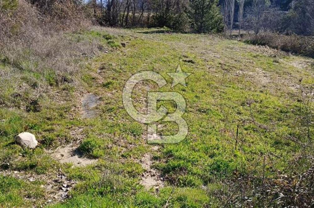 Muğla Günlüce mahallesinde satılık imarlı tarla