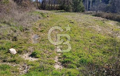 Muğla Günlüce mahallesinde satılık imarlı tarla