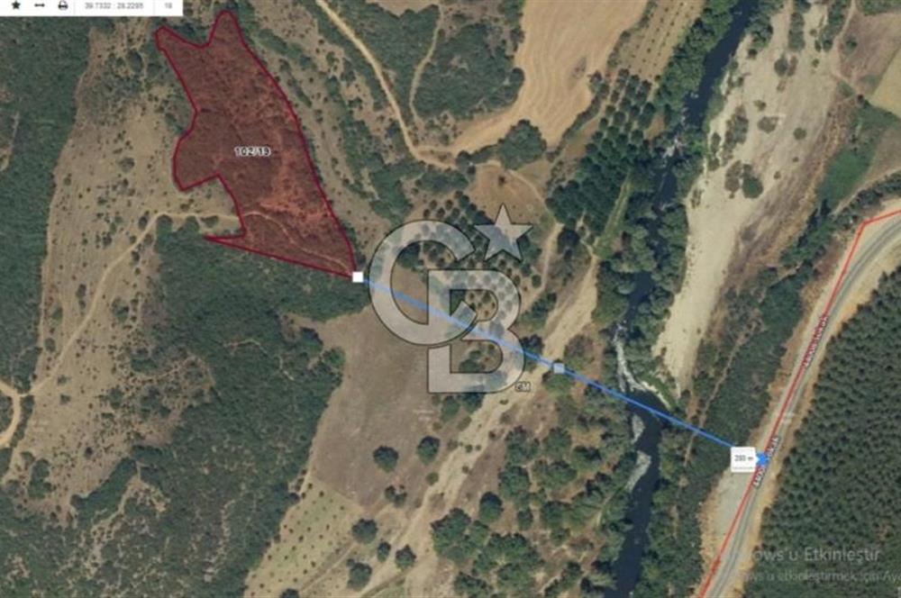 KEPSUT/BEKTAŞLAR'DA ORMANA BİTİŞİK YATIRIMLIK ARAZİ