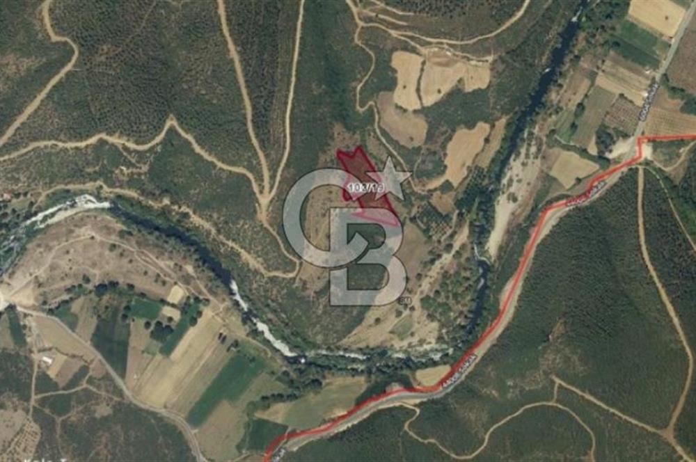 KEPSUT/BEKTAŞLAR'DA ORMANA BİTİŞİK YATIRIMLIK ARAZİ