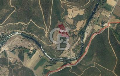 KEPSUT/BEKTAŞLAR'DA ORMANA BİTİŞİK YATIRIMLIK ARAZİ