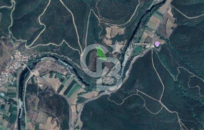 KEPSUT/BEKTAŞLAR'DA ORMANA BİTİŞİK YATIRIMLIK ARAZİ