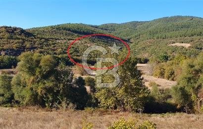 KEPSUT/BEKTAŞLAR'DA ORMANA BİTİŞİK YATIRIMLIK ARAZİ