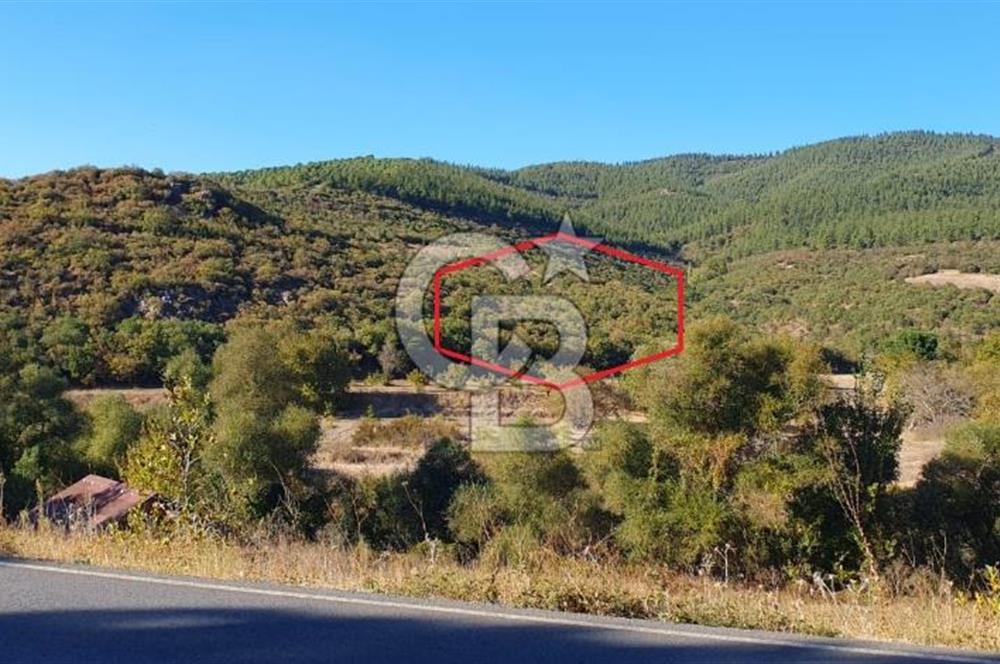 KEPSUT/BEKTAŞLAR'DA ORMANA BİTİŞİK YATIRIMLIK ARAZİ