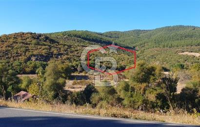 KEPSUT/BEKTAŞLAR'DA ORMANA BİTİŞİK YATIRIMLIK ARAZİ