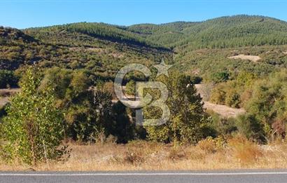 KEPSUT/BEKTAŞLAR'DA ORMANA BİTİŞİK YATIRIMLIK ARAZİ
