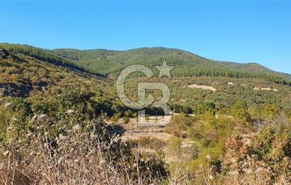 KEPSUT/BEKTAŞLAR'DA ORMANA BİTİŞİK YATIRIMLIK ARAZİ