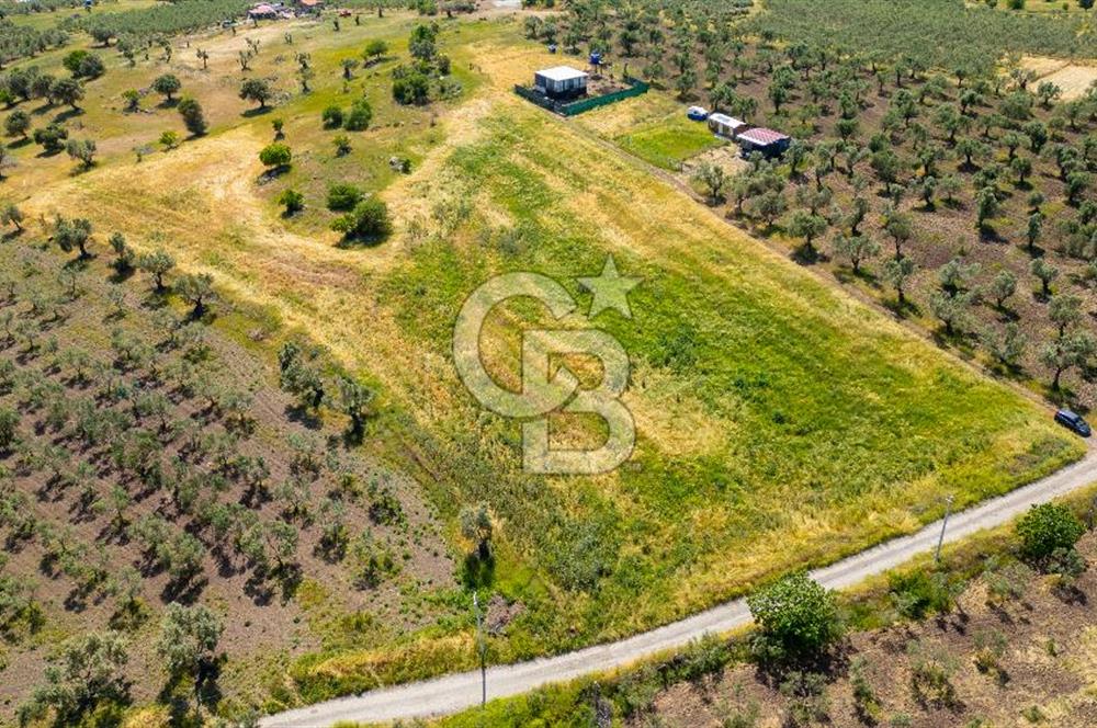 Foça Kocamehmetler'de Satılık 1250 m2 Tarla