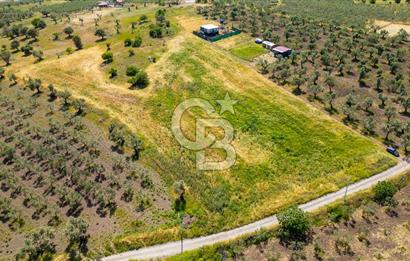 Foça Kocamehmetler'de Satılık 1250 m2 Tarla