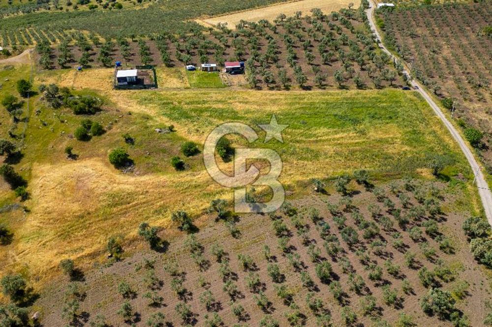 Foça Kocamehmetler'de Satılık 1250 m2 Tarla