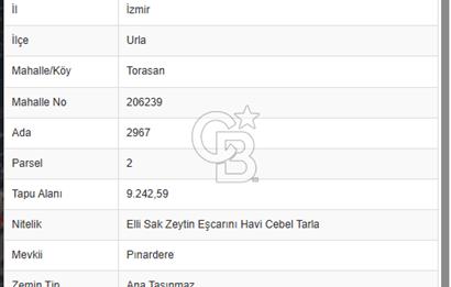 Urla Torasan’da Deniz Manzaralı 9242 m² Arazi