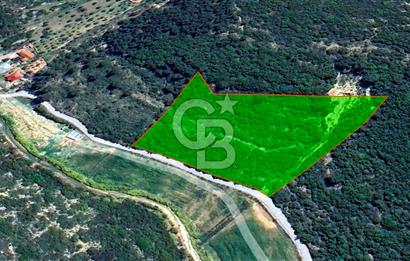 Urla Torasan’da Deniz Manzaralı 9242 m² Arazi