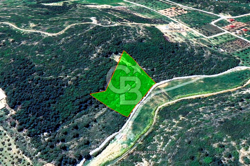 Urla Torasan’da Deniz Manzaralı 9242 m² Arazi