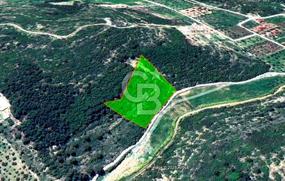 Urla Torasan’da Deniz Manzaralı 9242 m² Arazi