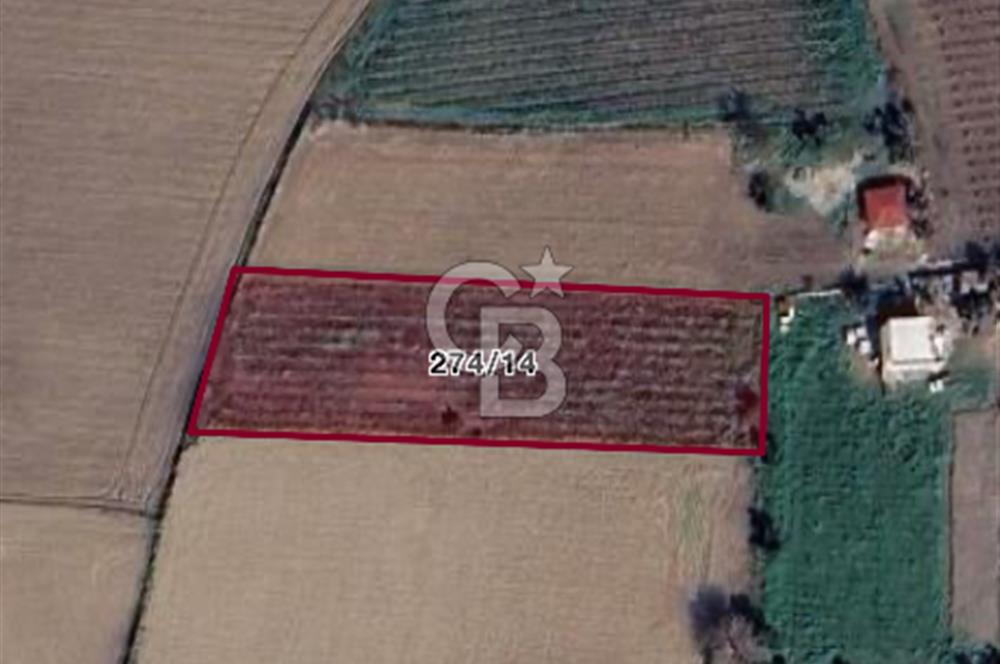 Menemen de Yatırımlık 3360 m2 Satılık Tarla