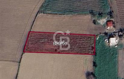 Menemen de Yatırımlık 3360 m2 Satılık Tarla