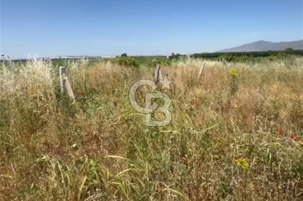 Menemen de Yatırımlık 3360 m2 Satılık Tarla
