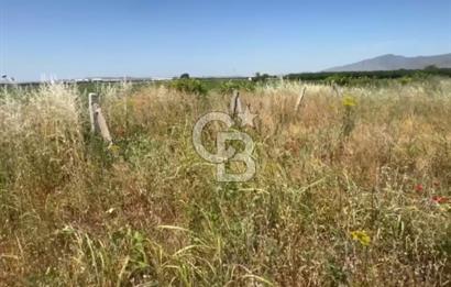 Menemen de Yatırımlık 3360 m2 Satılık Tarla