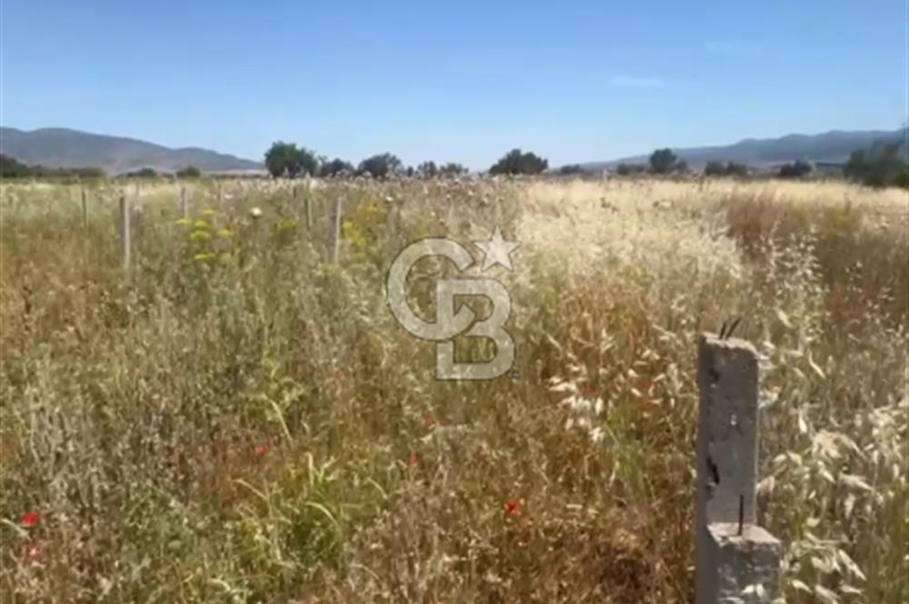 Menemen de Yatırımlık 3360 m2 Satılık Tarla