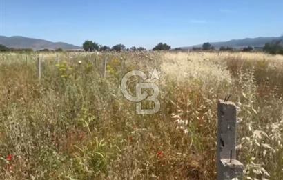 Menemen de Yatırımlık 3360 m2 Satılık Tarla