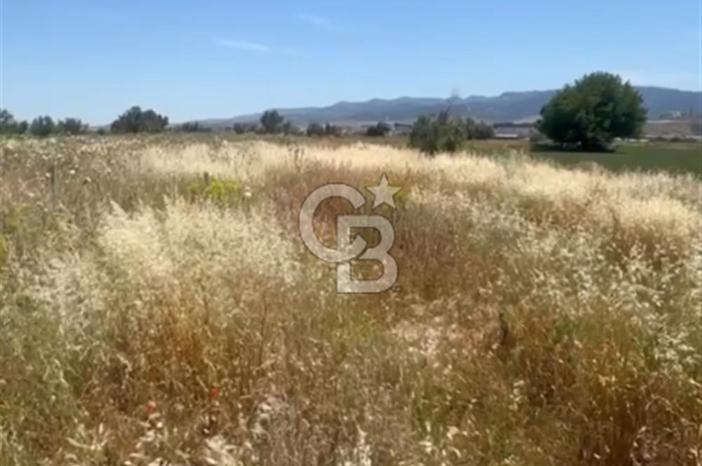 Menemen de Yatırımlık 3360 m2 Satılık Tarla