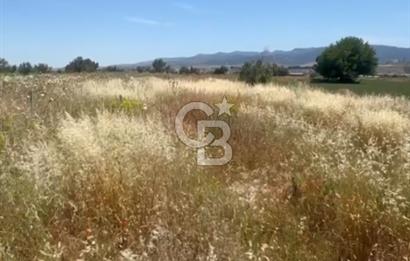 Menemen de Yatırımlık 3360 m2 Satılık Tarla