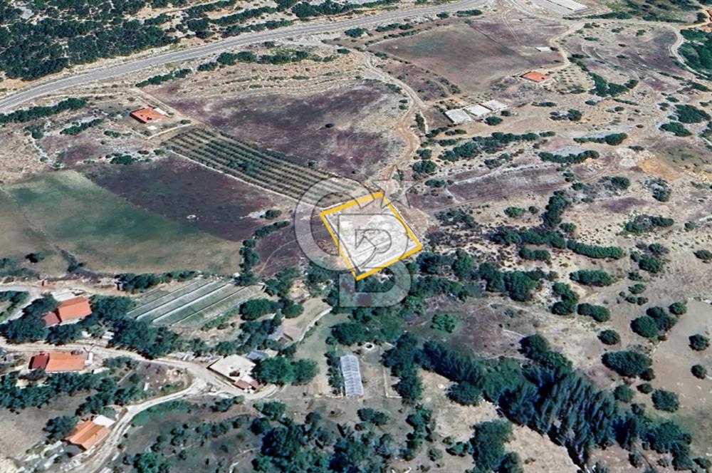 Kaş Sütleğen’ de  1.353 m² Etrafı Taş Duvar Çevrili  Satılık Tarla