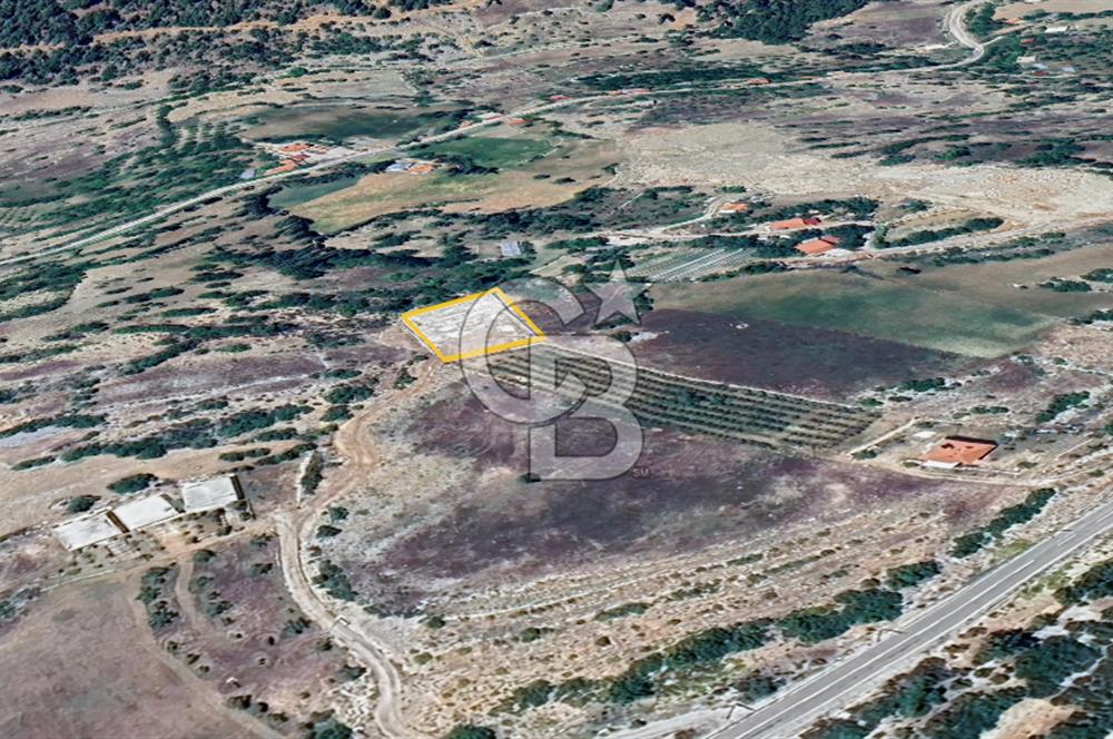 Kaş Sütleğen’ de  1.353 m² Etrafı Taş Duvar Çevrili  Satılık Tarla
