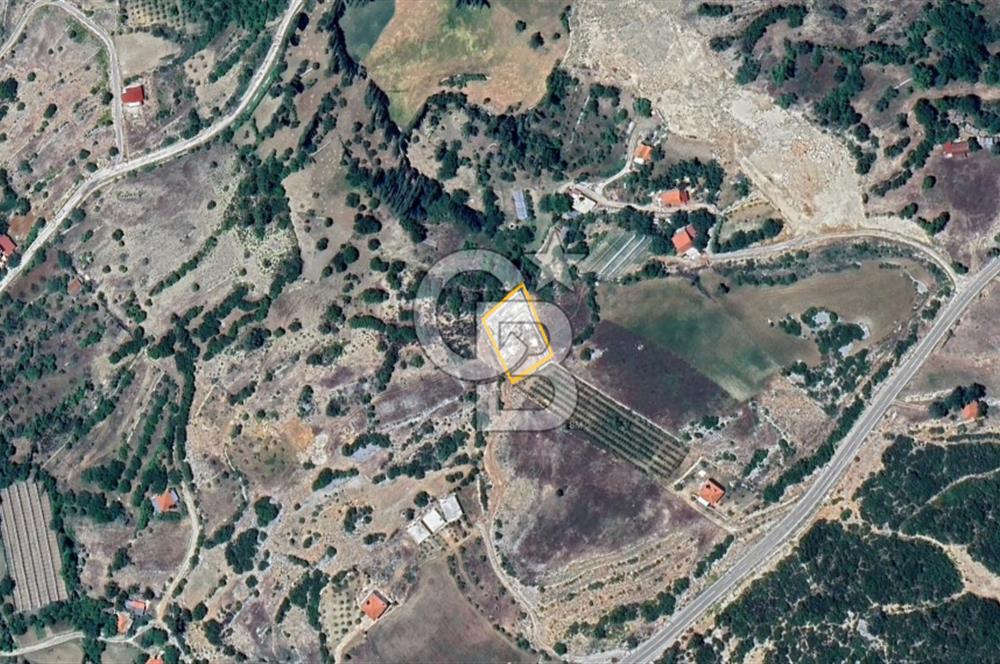 Kaş Sütleğen’ de  1.353 m² Etrafı Taş Duvar Çevrili  Satılık Tarla