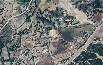 Kaş Sütleğen’ de  1.353 m² Etrafı Taş Duvar Çevrili  Satılık Tarla