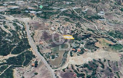 Kaş Sütleğen’ de  1.353 m² Etrafı Taş Duvar Çevrili  Satılık Tarla