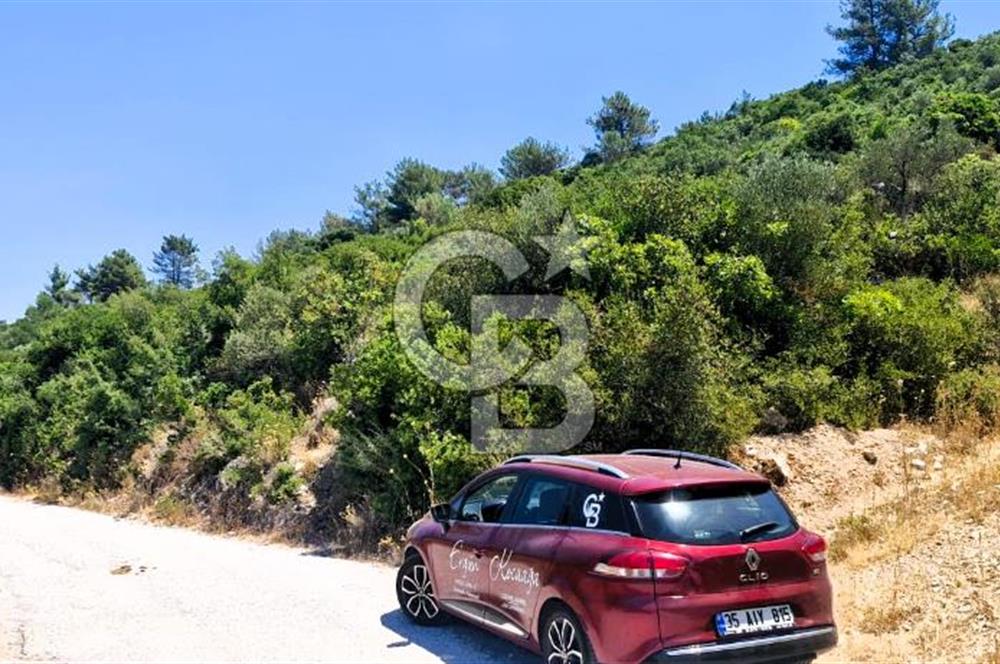 Urla Torasan’da Deniz Manzaralı 9242 m² Arazi